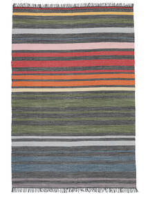Kitchen Rug
 Rainbow Stripe 140X200 Cotton Handwoven Modern Striped Multicolor 