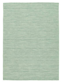 Kelim Loom 200X300 Mint Green Plain (Single Colored) Wool Rug Rug 