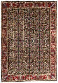  Kerman Rug 202X285 Authentic
 Oriental Handknotted Light Brown/Black (Wool, Persia/Iran)