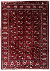  Turkaman Rug 204X285 Authentic
 Oriental Handknotted Dark Red/Dark Brown (Wool, Persia/Iran)