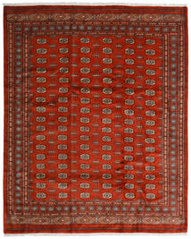  Pakistan Bokhara 3Ply Rug 251X309 Authentic
 Oriental Handknotted Rust Red/Dark Brown Large (Wool, Pakistan)