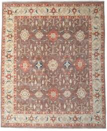  Ziegler Ariana Rug 240X295 Authentic
 Oriental Handknotted Light Brown/Brown (Wool, Afghanistan)
