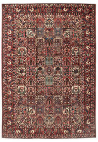 Bakhtiari Rug Rug 255X365 Red/Brown Large (Wool, Persia/Iran)
