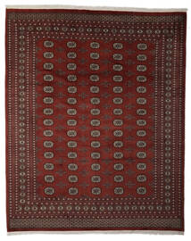  Pakistan Bokhara 2Ply Rug 253X311 Authentic
 Oriental Handknotted Black/Dark Brown Large (Wool, Pakistan)