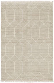  Kiara - Beige Rug 300X400 Authentic
 Modern Handknotted Olive Green/Light Brown Large ( India)
