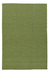  Kilim Loom - Secondary Rug 200X300 Authentic
 Modern Handwoven Dark Green/White/Creme (Wool, India)
