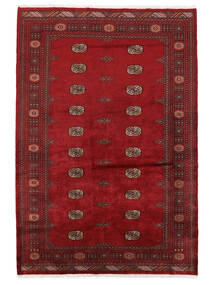  Oriental Pakistan Bokhara 3Ply Rug Rug 169X252 Dark Red/Black (Wool, Pakistan)